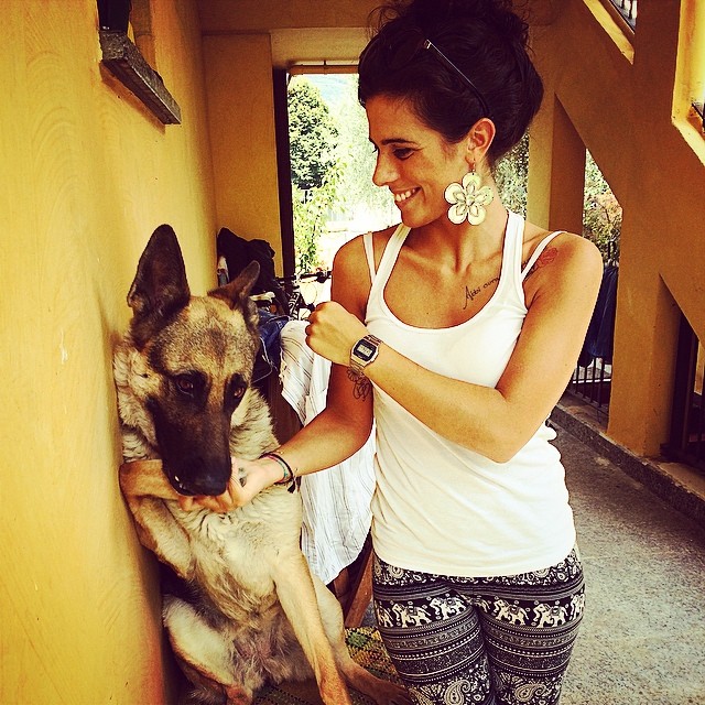 🐺❤️ #kalì #jen #belmuso #pastoretedesco #instadog @clubpastoretedesco #animals #dog #games #happiness #loveforanimal #love #italiangirl #bestphoto #picoftheday #picture #tagsforlikes #100happydays #italy #vallecamonica