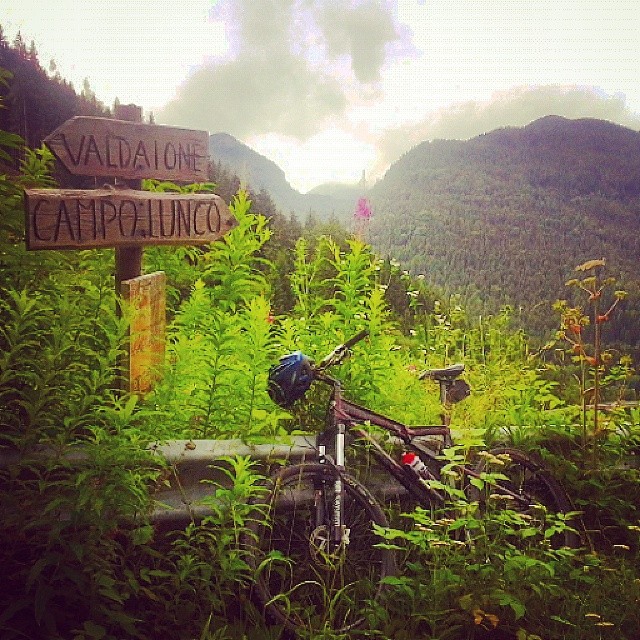 #mountain#mtb#sesa#bienno #valgrigna #vallecamonica #lombardia #instagood #instamontain #alpi #instafoto #training #paesaggio#valdajone#campolungo