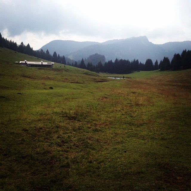 Sulle montagne di casa in#Mtb#pratolungo#montealtissimo#borno#vallecamonica#camunicando#bdc#cycling#ornello_team_bike