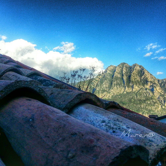 Cat’s POV #rivadisolto #trentapassi #lagodiseo #altosebino #iseofinestre #vallecamonica #igersbergamo #vivobergamo #vivodelmese1014 #vivo_italia #vivobrescia #wonderfulexpo2015 #eurpe_italy #loves_italia #loves_village #tv_hdr #mobile_hdr #worldwide_shots #great_captures_italia