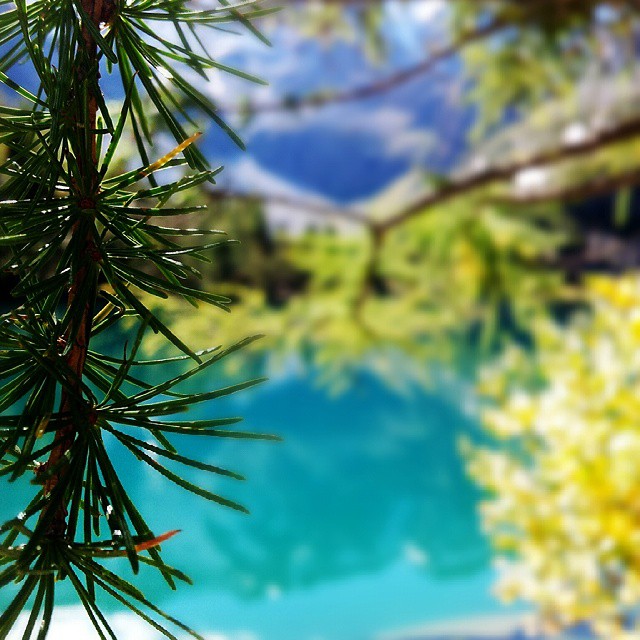 #aviolo #lake #mountains #parcoadamello #vallecamonica