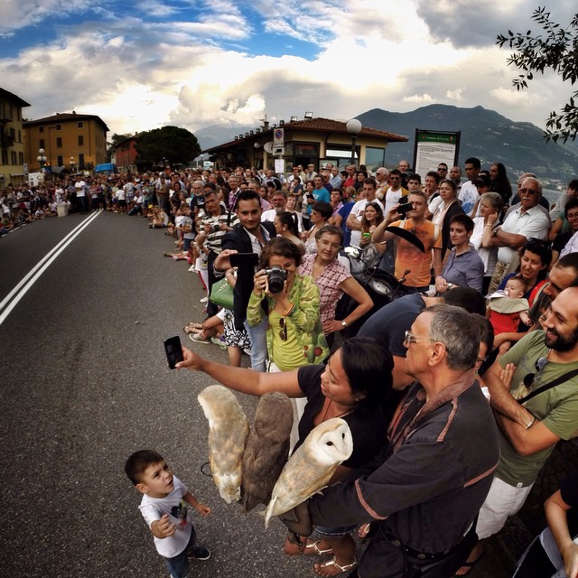 …ma il selfie con le civette è già stato legalizzato? #attaccodigitale “Obiettivo #Festivalborghi” sabato 6 settembre – Lovere (spettacolo dei falconieri del Rosone di #Sulmona)
