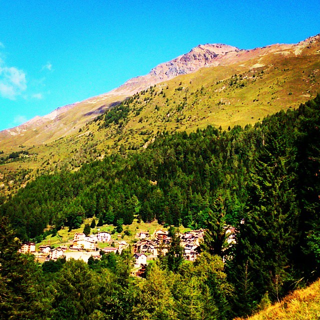 Il bosco sacro di Pezzo pezzo#pontedilegno#vallecamonica#mountain#sky#Green#Forest