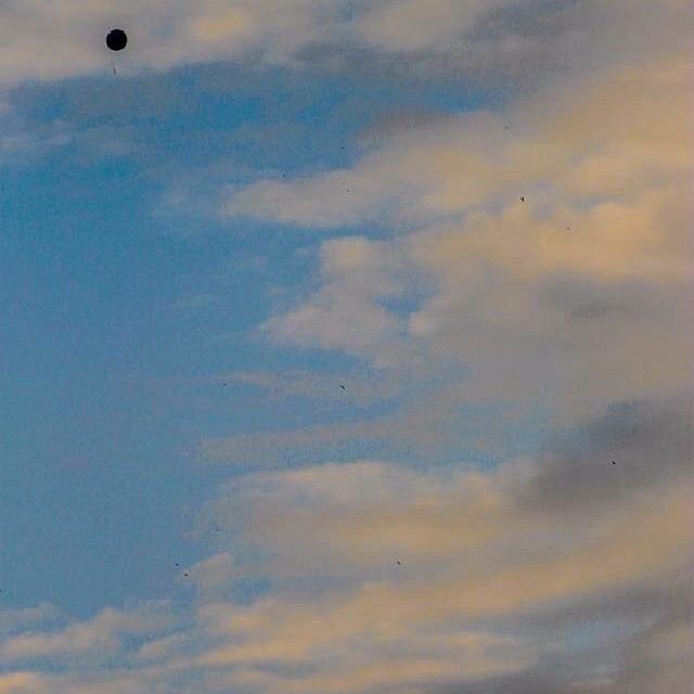 #canon #eos #1100D #55250 #reflex #passione #top #foto #igersitalia #igerslombardia #igers #vallecamonica #vivobrescia #vivobergamo #vivolombardia #ShareYourParadise #italiamp #LOVES_ITALIA #lovesitalia #picoftheday #picoftheweek #tramonto #palloncino #iseofinestre @iseofinestre #top #happiness
