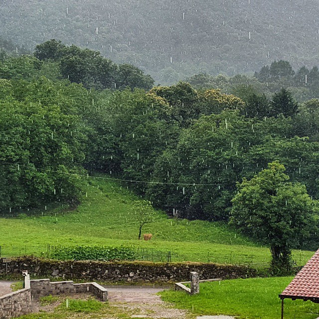 #rain #water #green #nature #home #granparents #trees #summer #mountains #june #family #beautiful #likeforlike #likeback #vivolombardia #vivobrescia #me