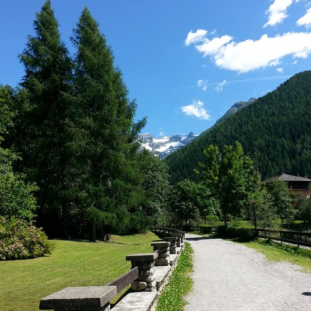 #pontedilegno #valcamonica #openponte #Alpicentrali #mountain #appbrescia #Iseofinestre #Alpi #amazingphotoshare #picoftheday #mycapture #relax #icu_nature #green #omnesgreen #expo2015Milano #gf_italy #global_igers #ig_photoflair