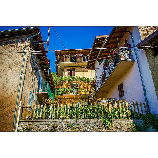 #flowers #instaitalia #ig_italy #ita_details #igerslombardia #igersbrescia #ig_brescia #panorama #sun #sky #summer #gf_italy #hdr #loves_lombardia #landscape #loves_united_italia #top_lombardia_photo #contestgram #vallecamonica #vivobrescia #vivonatura #1200d #brixia_scatti #volgolombardia