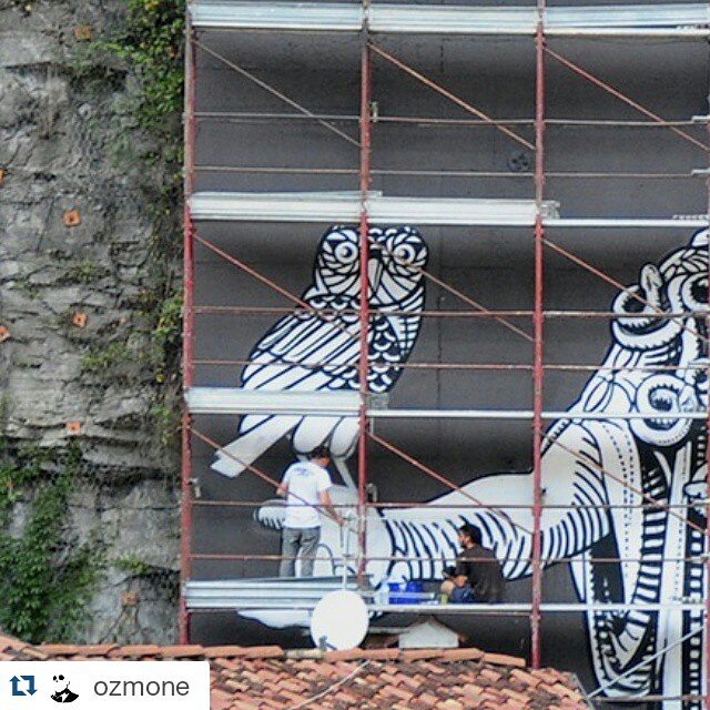 #owl is a symbol for #wisdom #Repost @ozmone ・・・ Detail in Breno ( bs) video and full photo soon.. Thanks people from #valcamonica…. See you The 5th for the unveil of the mural! #ozmo #art #graffitiart #graffiti #street_art #muralism #muralist #spraycan #spraycanart #acrylics #nature #italy #breno #brescia #valledeisegni@vallecamonica #vallecamonica #civetta #minerva #athena #atena