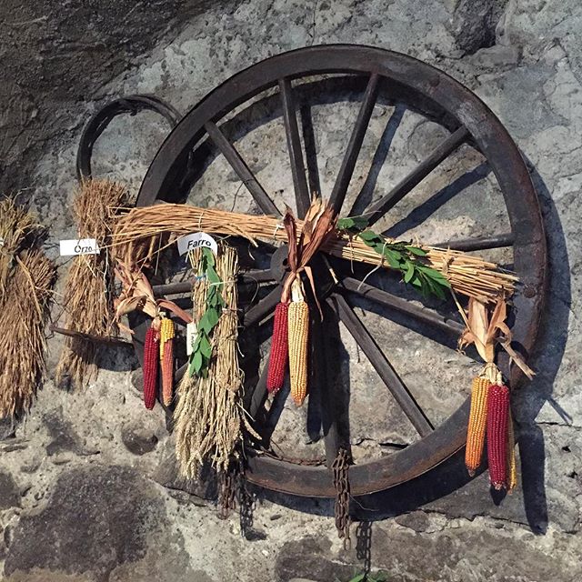 Orzo…Frumento…Miglio..Grano..Farro #bienno #igerslombardia #valcamonica #valcamonicalovers