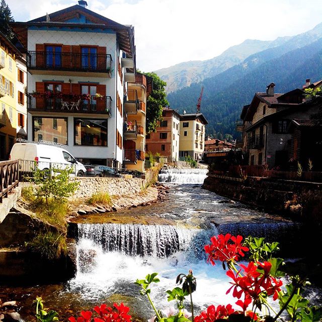 ☀🌺 #pontedilegno #vallecamonica #pota #flowers #instagood #waterfall