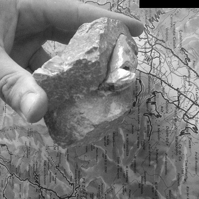 Avicola exilis.Calcare Dolomia Principale.Norica.Toline -Vello #Valcamonica #Pisogne