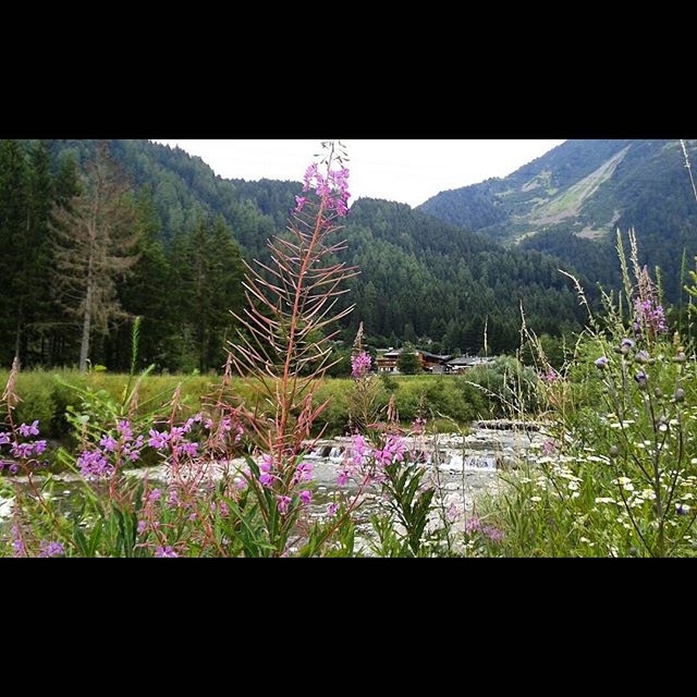 #vallecamonica #brixia_scatti #volgoitalia #volgo_brescia #natura_love_ #volgolombardia #loves_united_italia #loves_lombardia #ig_lombardia #vivobrescia #vivolombardia