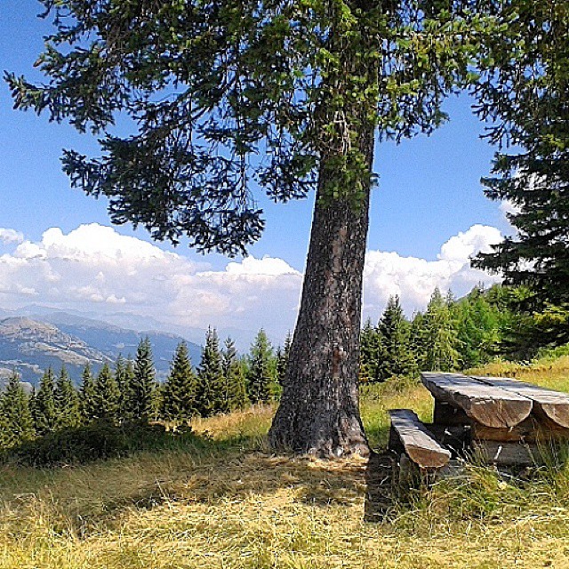 #natura #nuvole #valcamonica #sondrio #montagna #verde #fiori #Aprica #passeggiata #boschi #relax #family #igerslombardia #ig_lombardia #italia #colours #summer #mountain #funiviamagnolta
