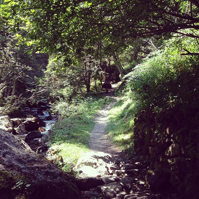Si va’ #passioni #green #estate #summer #pausa #mountain #montagna #lombardia #vallate #ig_lombardia #valcamonica #vacanza #landscape #parsaggio #bosco #famiglia
