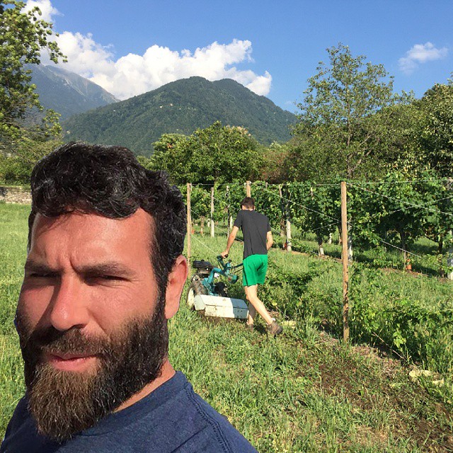 @danbilzerian al posto di farti i selfie aiuta @ricky1701 a motozappare please #luppoletocamuno #luppolo #danbilzerian #selfie #selfi #motozappa #hop #hops #hopplant #homebrew #birra #beer #beerporn #vallecamonica #valcamonica #camonicavalley #growinghopscamonicavalley #growinghops #cultiasciùderoertì #roertì #luppoletobiennese #birraartigianalebiennese #growinghopscamonicavalley #chmiel #100happyluppolo #100happyalcool
