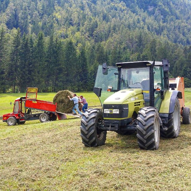 Hard work #hürlmann #xt105 #sdf #fienagione #fieno #imballatrice #omas #balle #balloni #antoniocarraro #tiger77 #montagna #borno #vallecamonica #agricoltura #hardwork