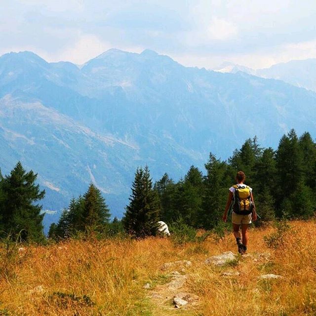 #montagna #mountain #trip #viaggio #summer #holiday #friends #natura #nature #val #canè #valcanè #valdicanè #valcamonica #stambecchi #sempre in #cammino #insta #instagood #instaphoto #picoftheday #picoftheweek #canon #650d #canonusersww