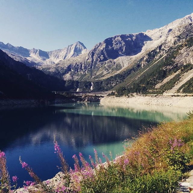 Val d’avio 📷🔝 #sunny#summer#rifugiogaribaldi#vallecamonica#dighe#water#nature#green🌞🌄 😎