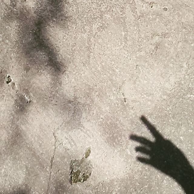 #segni #parcodiluine #preistoria #camuni #segnidelpassato #vallecamonica #incisionirupestri