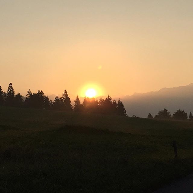 Sissì… Tutto vero!!!#love#life#naturemade#goodmorning#valcamonica#sun#sky#yellow#black#italy