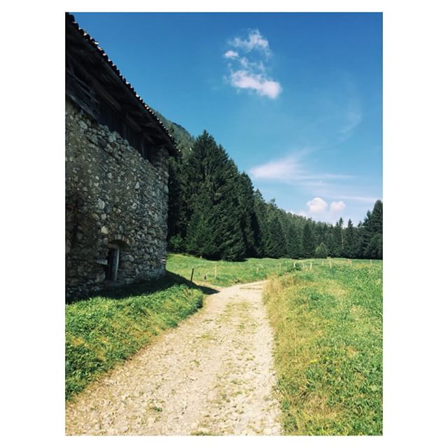 Ultime ore in montagna con i miei nipotini e la mia famiglia… È ora di tornare in città e prepararsi a una nuova partenza 🌞😎 ••{ENG}•• Last hours in the mountains with my nephews and my family… Time to come back in town and get ready for a new adventure 🐞 #petitefraisesummerholidays #exploring #postibellibelli