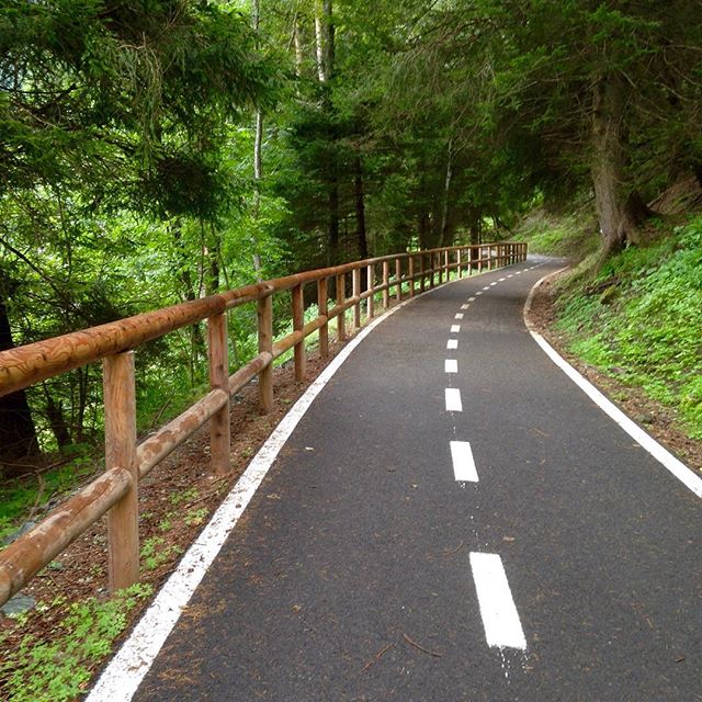 🎶 Strada facendo …