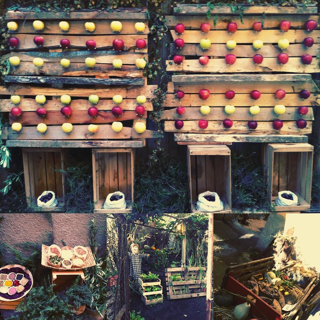 #expongref#grevo#camonicavalley#vallecamonica#valledeisegni#quaterpascoipersech#autumn#october#saporidautunno