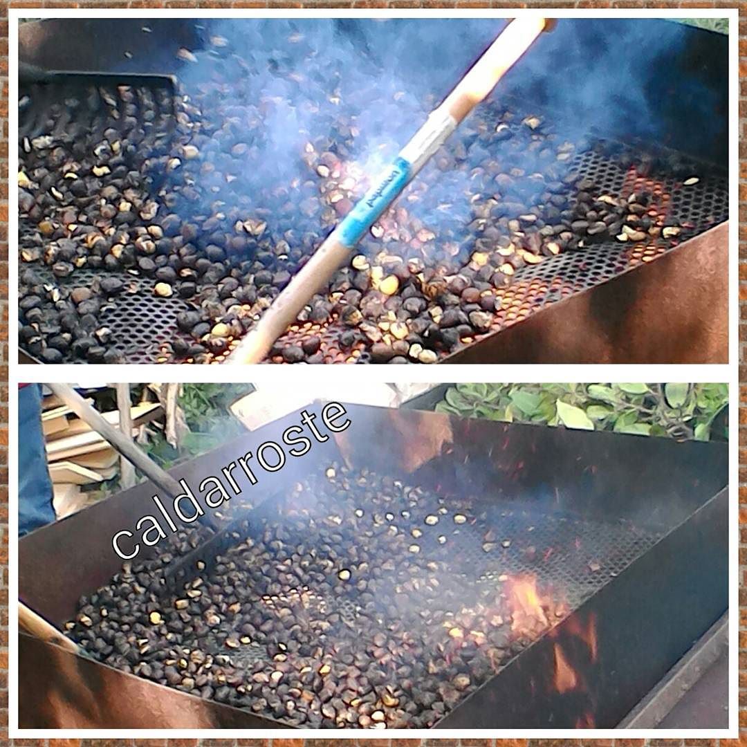 #Caldarroste#castagne#castagneto#LagoMoro#DarfoBoarioTerme#Vallecamonica#Valledeisegni#Lombardia#Vivalavallecamonica#