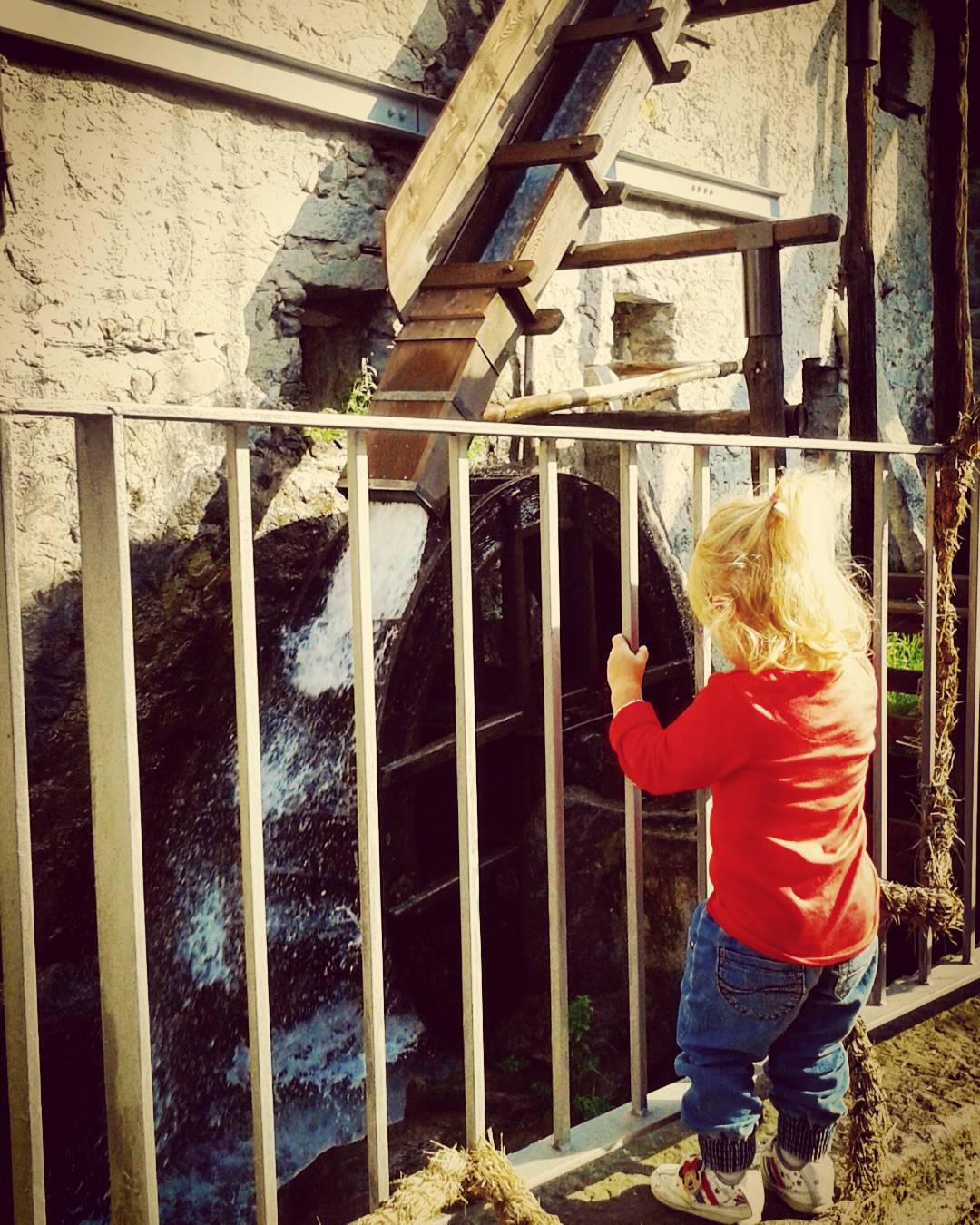 #bienno #valledeimagli #valcamonica Da generazioni,immutabile, il #fascino della #ruota del #mulino ad #acqua #vivoinunpostobellissimo