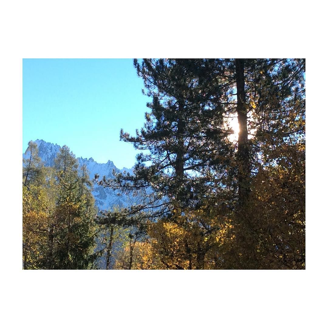 #happyness #mounteneering #nofilter #colours #autumn #alps#mountains #valcamonica #autunno#instabeauty