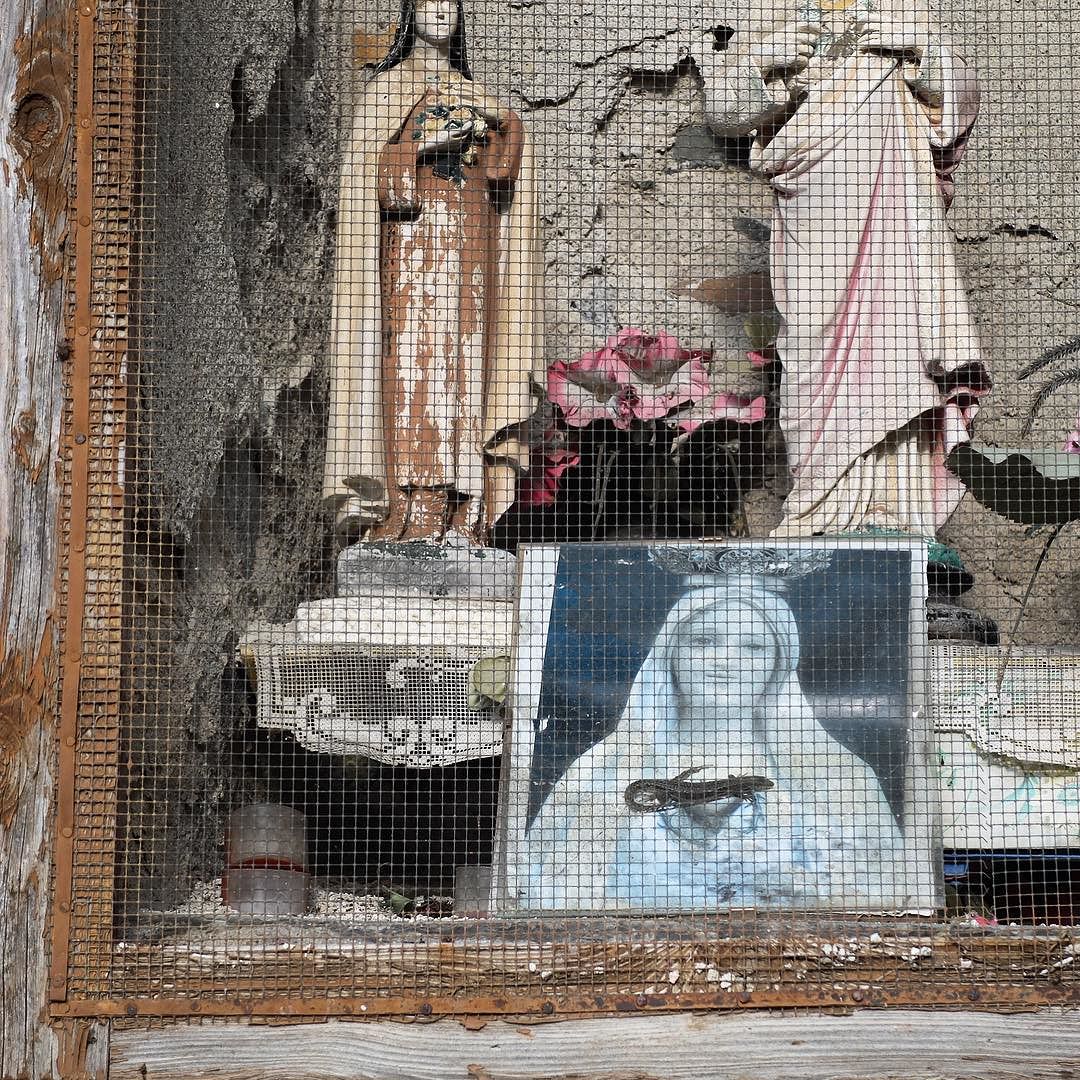 The things you find in the mountains. Lizards and tiny shrines. #vallecamonica #cimbergo #italy #alps #bellaitalia