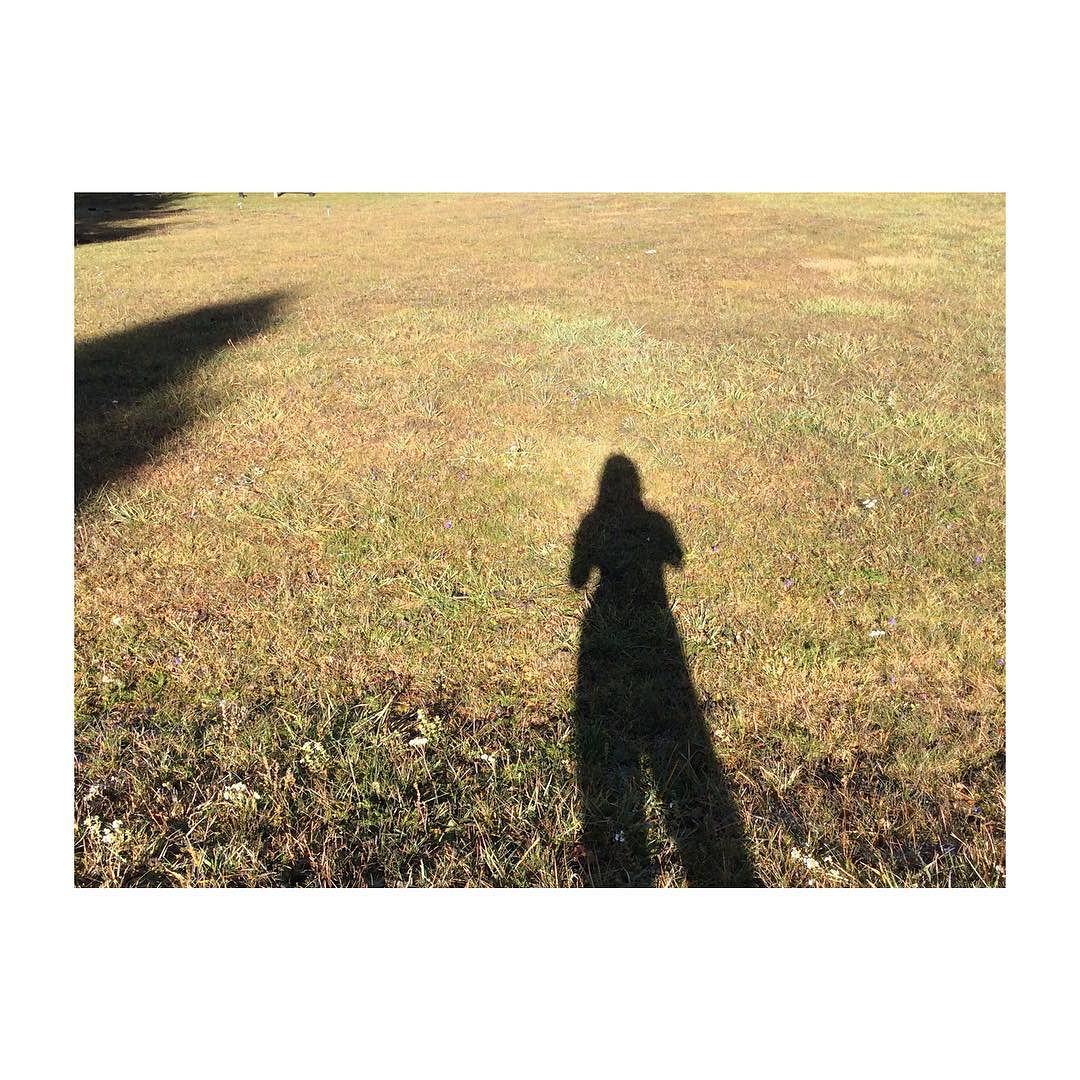 #shadows #nofilter #instabeauty #autunno #valcamonica #mountains #alps #pontedilegno #tonale #lights
