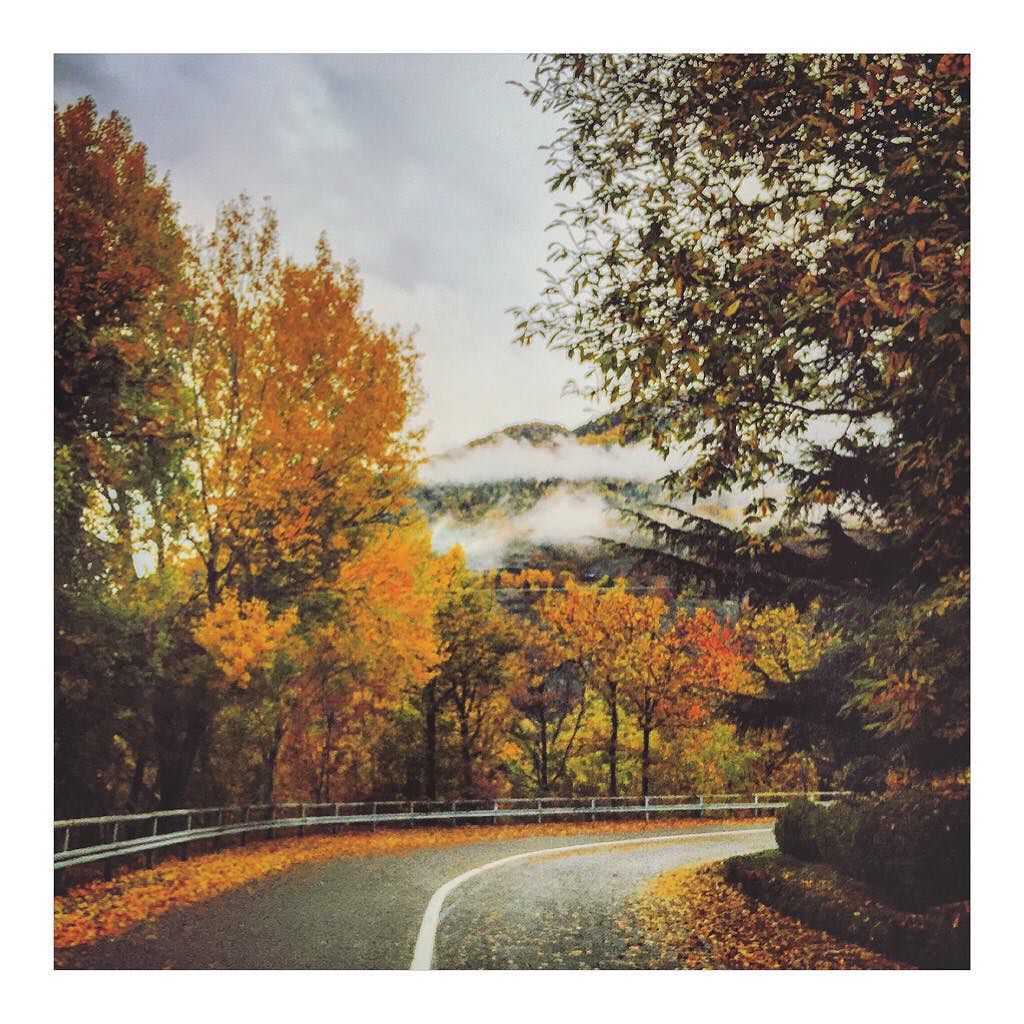 AUTUMN! #autumn #autunno #autumn2015 #colours #instacolours #landscape #mountain #wood #clouds #cloudyday #orange #yellow #landscape_captures #landscape_lovers #landscapephotography #picoftheday #backhome #valcamonica #instanaturelover #instanature #love