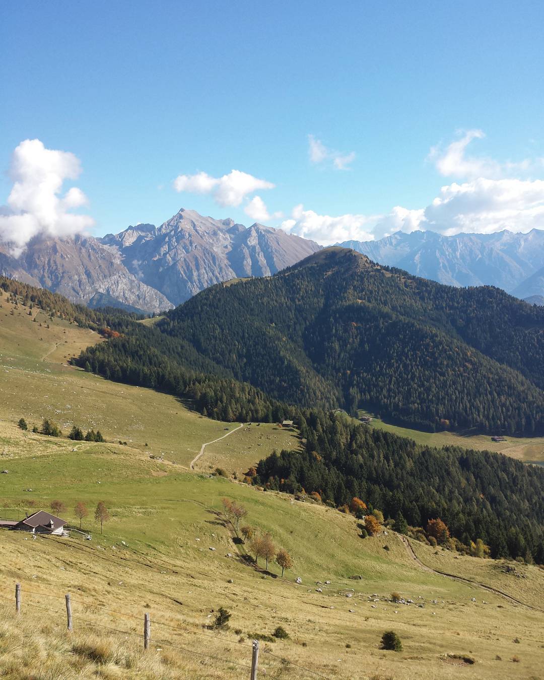 Cartolina da Borno #trekking #mountain #montagna #italy #borno #valledeisegni #vallecamonica #altopianodelsole #autunno #fall #outdoor #runningitalia #trailrunning #bosco #forest #sky #photo #photografy