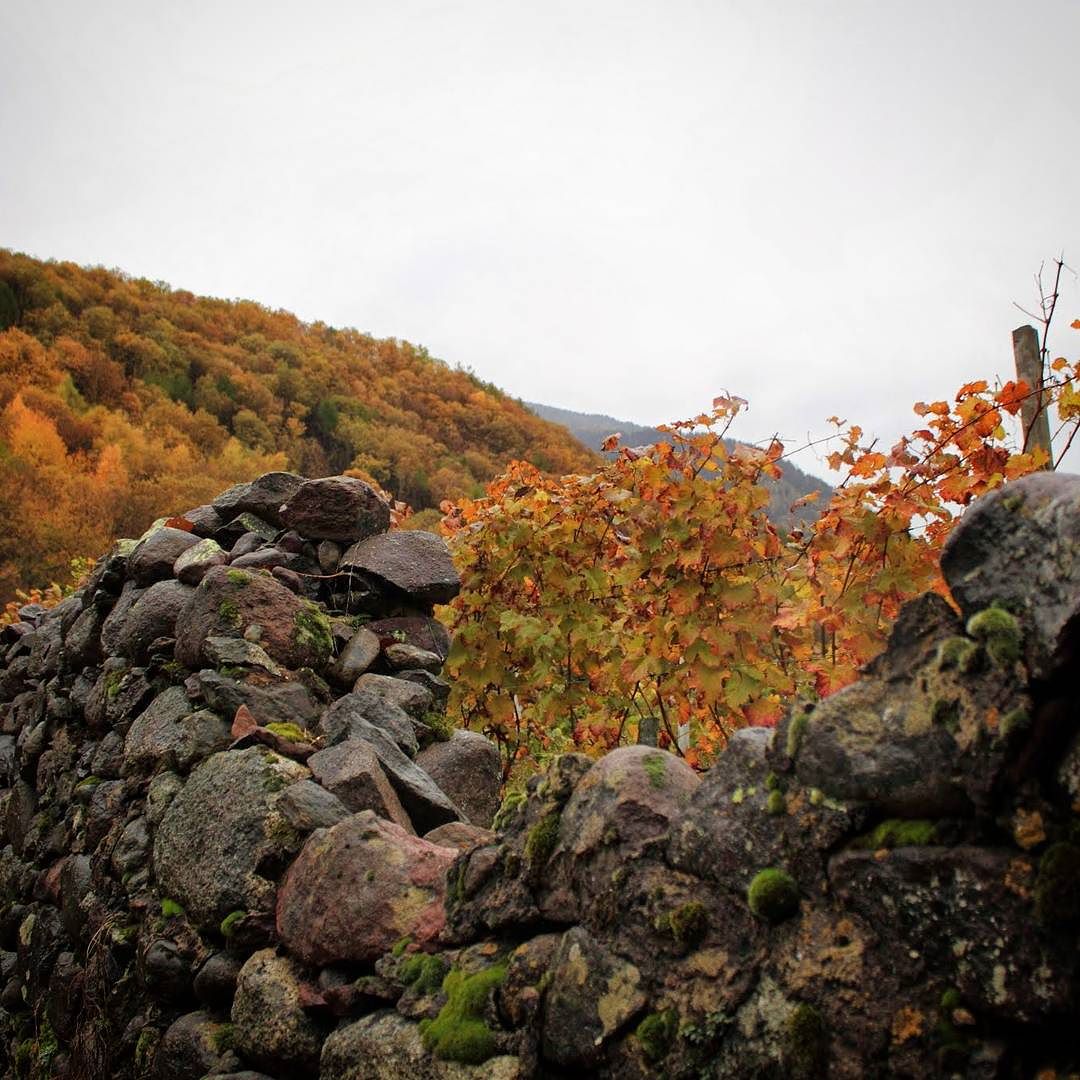 #autumn in #vallecamonica #bienno #valledeisegni #vivalavallecamonica #lombardia #italy