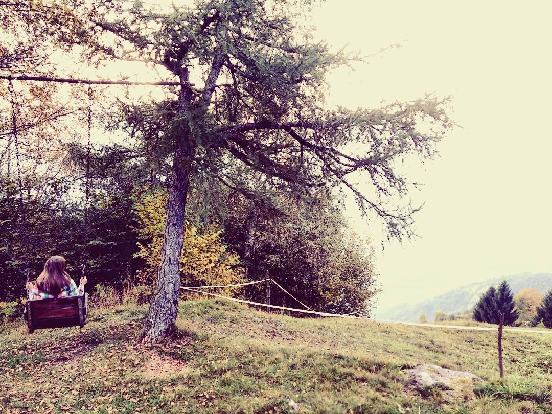 Never forgot where you come from wherever you will go #mountains #pizzobadile #concarena #colors #altalena #forest #wood #fall #autumn #autunno #trees #hiking #home #view #roxy #family #vallecamonica #Brescia #Italy