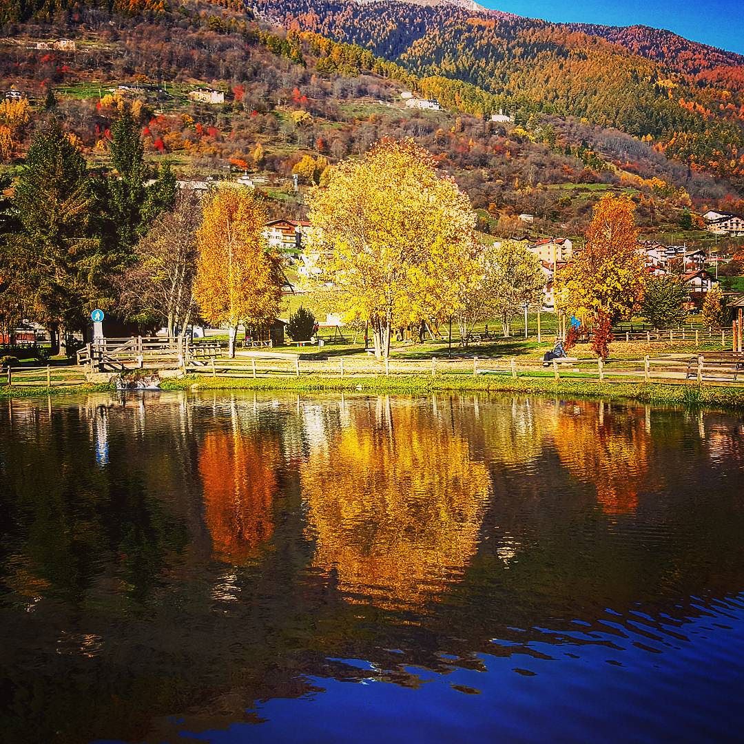 Vezza d’Oglio #vallecamonica #valledeisegni #parcoadamello #autunnoparcoadamello #vivalavallecamonica #loves_lombardia #vivolombardia #vl_autumn #vivoreflection #exclusive_italy #italy_photolovers #visititalia #visit_italiadascoprire #top_lombardia_photo #volgolombardia #volgobrescia #exclusive_reflection #exclusive_trees #italy_emotion #lombardia_super_pics #ita_super_pics #italian_trips #igw_italia #loves_lombardia #loves_nature #dm_photolife_nature #loves_landscape #loves_united_lombardia #loves_united_italia #loves_united_nature
