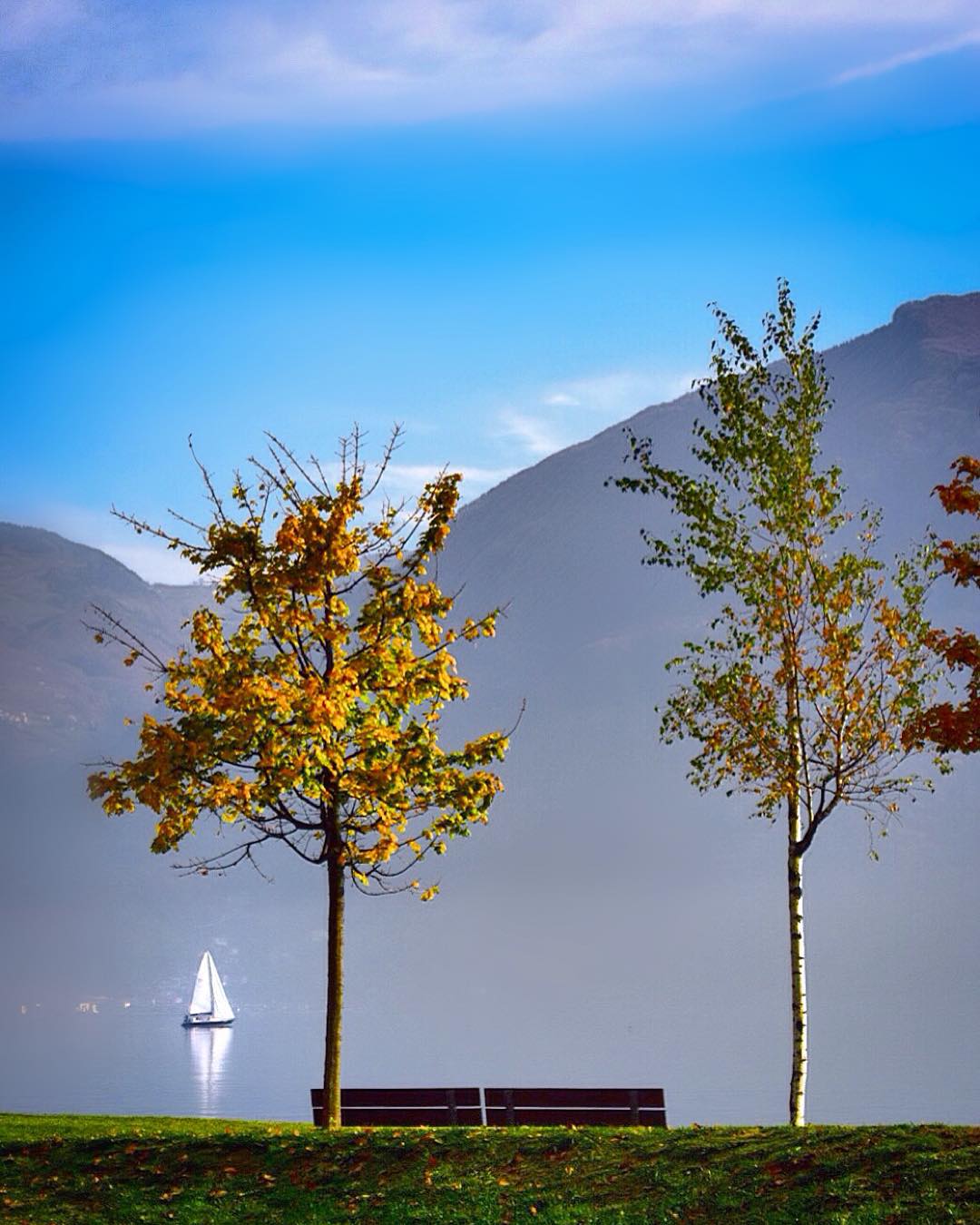 Pensando a te ho una ragione per respirare l’incantesimo di un nuovo giorno! #AlzaLoSguardo @Feltrinelli_editore @vivolombardia #vivolombardia #vl_autumn #lagodiseo #visitlakeiseo #vallecamonica #visitbergamo  #igersbergamo #igerslombardia #volgolombardia #ita_super_pics #loves_lombardia #loves_united_lombardia #top_lombardia_photo #autumn4igers #HistoryInABottle #Igersitalia #contest_pxw @pixiework #earthdefenders #Krabicalling #yourorisstyle #polyUDream #odysseyproject #instaitalia #italian_places #italy_vacations #master_shots #buzzoole @buzzoole @itownapp #itownapp