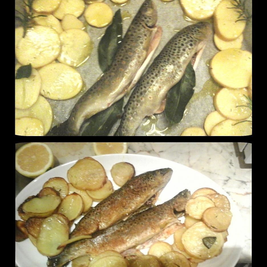 Trota fario di torrente al forno. #trota #fario #fish #Valcamonica #torrente #landscape #mountains #cucina #culinary