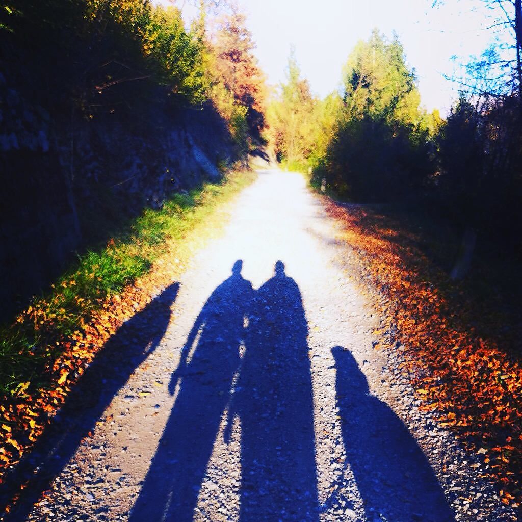 #ombre#shadows#trovalintruso#family#sunnyday#domenicaallariaaperta#sunday#passeggiando#walking#camminando#natura#autunno#autumn#leaves#coloriautunnali#haveaniceday#vallecamonica#mountain#outdoor#fotografando#noi#dog#happiness#happysunday#i stanature#instaautumn 🍂❤️