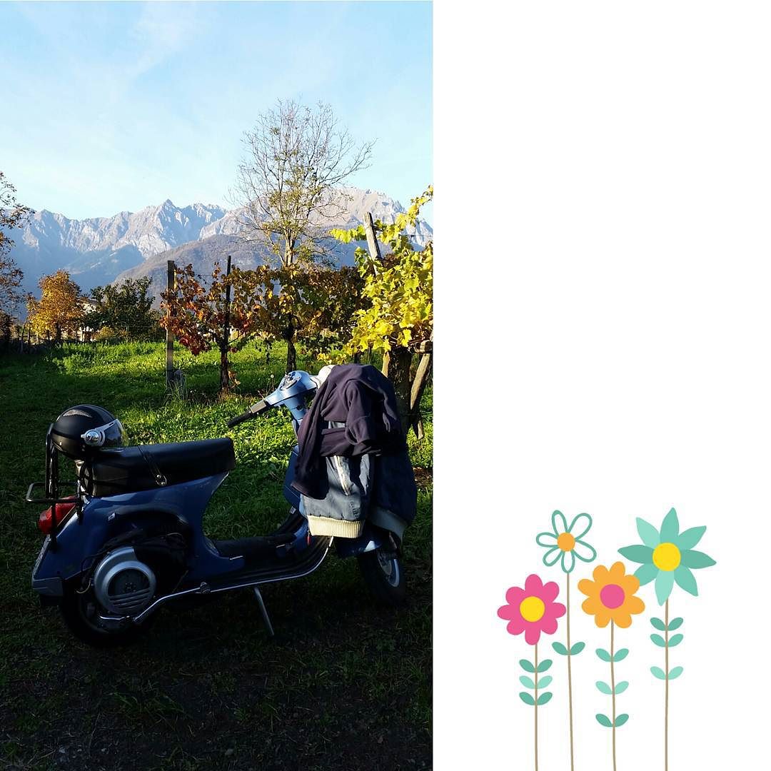 luppoletocamuno #coltivare con #stile #luppoletocamuno #nature #passion #vallecamonica #beautiful #italy #vespa #luppolo