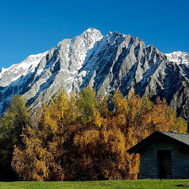 CONTEST AUTUNNO NEL PARCO DELL’ ADAMELLO @Regrann from @viola_vp – Malga Stain – Edolo @marcocimarolli #autunnoparcoadamello #vallecamonica #malgastain #nature #trekking #alpinism #mountains #earthpix #picoftheday #naturelovers #autumn #sun #landscape #bestmountainartists #panorama #Regrann