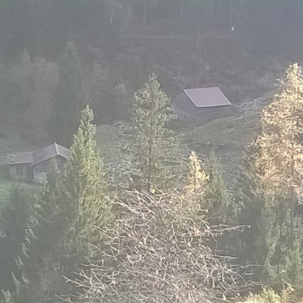 #ambí#cortenogolgi#Valcamonica#altavalle#montagna#autunno