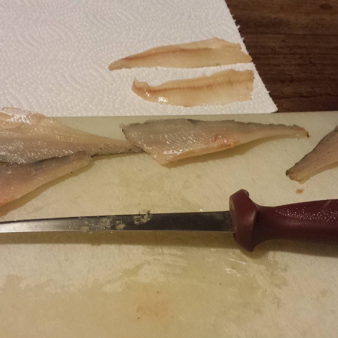 Oggi persico a km zero… #perch #fillet #fishing #food #capodilago #lagomoro #vallecamonica #darfoboarioterme #angoloterme #valledeisegni