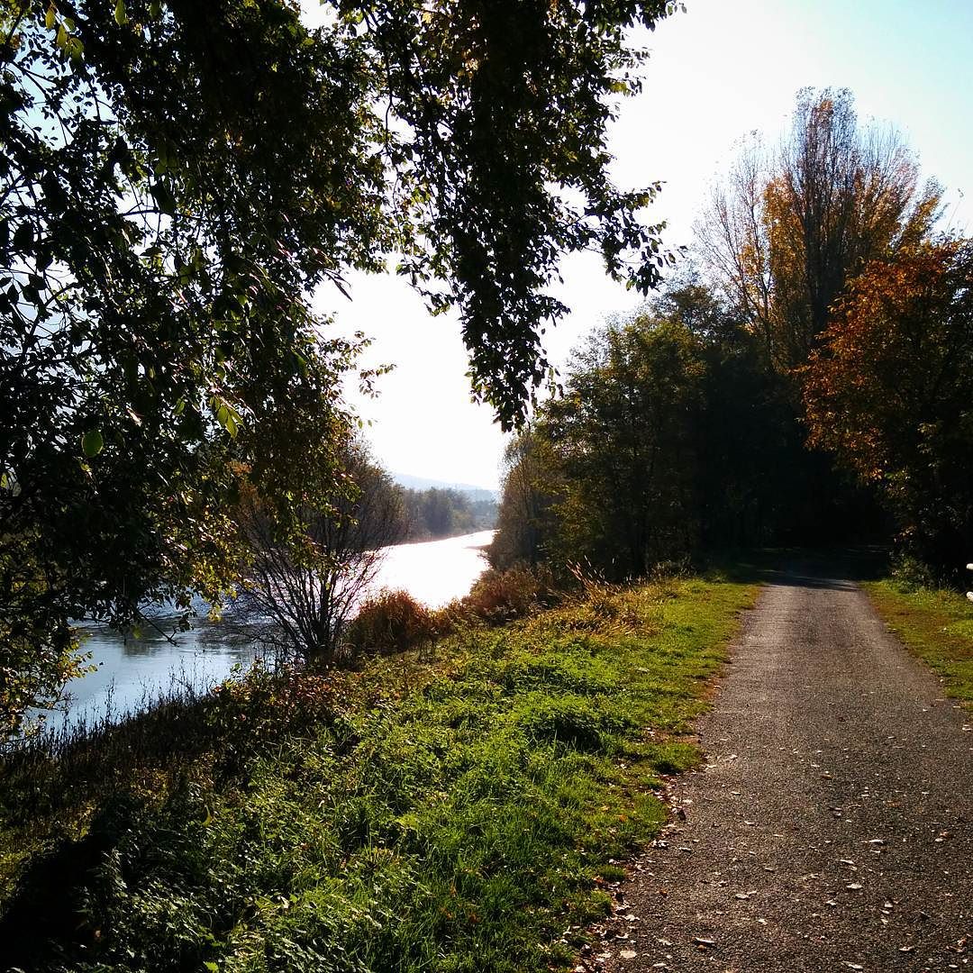 #fiumeoglio #ciclabilevallecamonica #autumn #valledeisegni #vallecamonica #vivalavallecamonica #niceday #niceplace #river #riverside