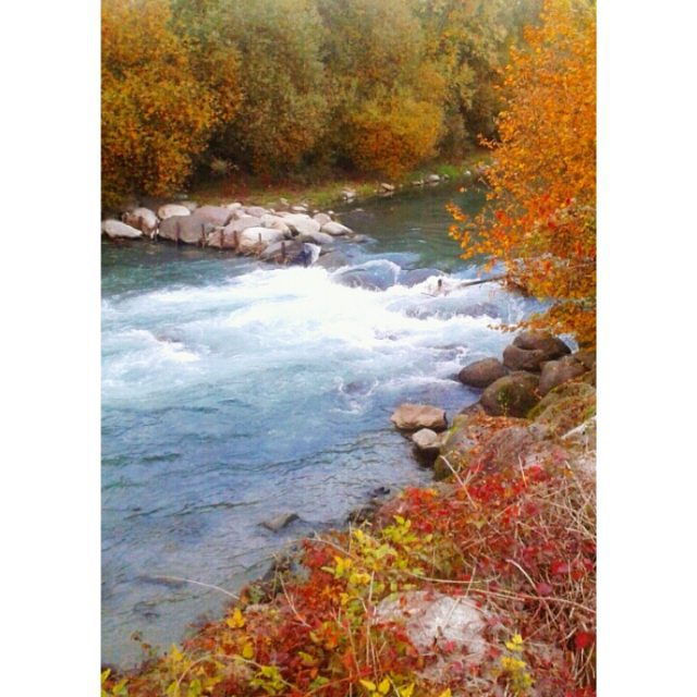 #river #waterfall #watercolor #fall #autumn #autumnleaves #autumncolors #instautumn #season #colorful #sunnydaysneverend #autumnweather #naturelover #nature #vallecamonica #like4likes #like4like