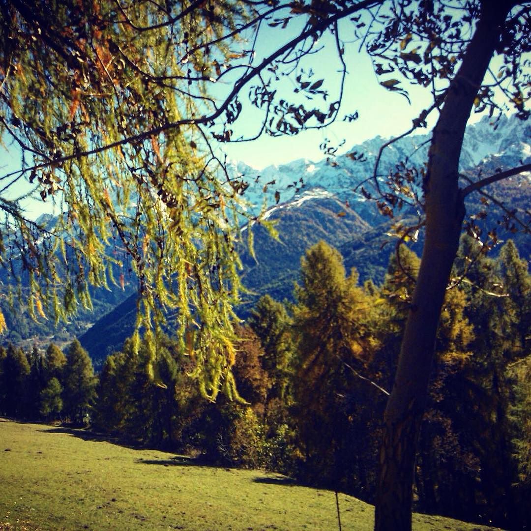 #mountains#trees#travel#trekking#passeggiata#nature#sky#autumn#home#paradise#beautiful#amazing#awesome#valcanè#vallecamonica#canè#italy#ig_lombardia#ig_brescia#like4like#likeforlike#picoftheday#photooftheday#tagsforlikes#instanature#instadaily#follow#followme