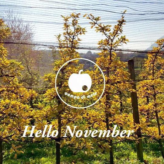 Hellonovember#campodimele#vallecamonica#autumn#🍂🍁🍏🍎