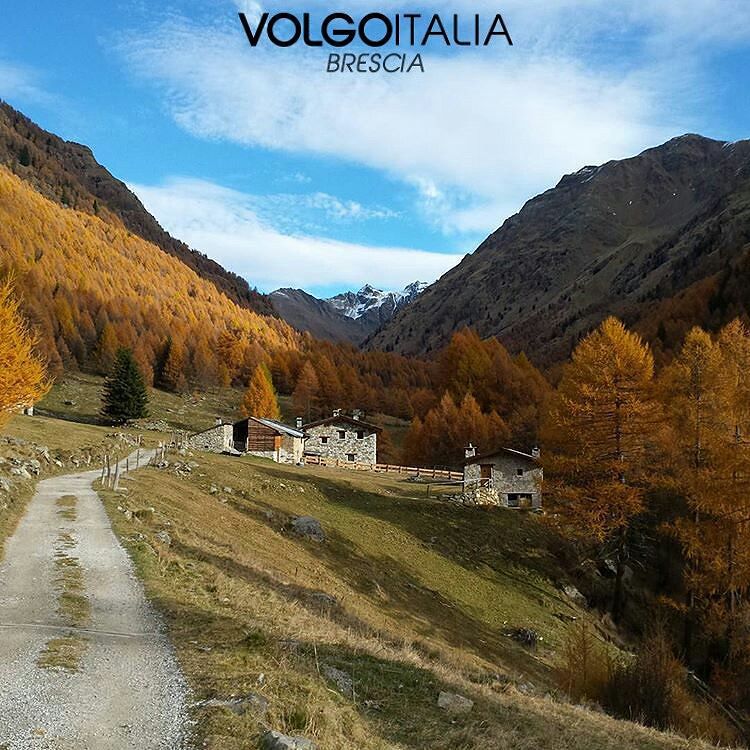 Val Grande – Brescia Foto di @famveder #brescia #lombardia #italia #italy #volgobrescia #volgolombardia #volgoitalia #turism #holiday #trip #travel #italytrip #italytour #travelingram #madeinitaly #italyiloveyou #volgosocial #volgobrescia#valcamonicalovers #valcamonica