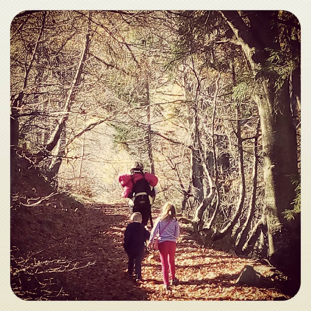 Trekking domenicale. #trekking #trees #ioamocamminare #altosebino #valcamonica #valtrompia #valpalot #autunno #myfamily